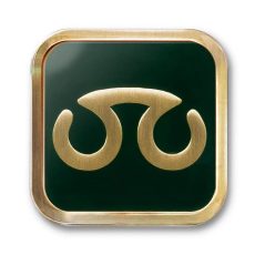 Final Fantasy XIV - Job Pin Badge Scholar