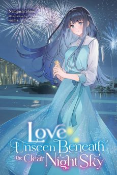 Love Unseen Beneath the Clear Night Sky (Light Novel)